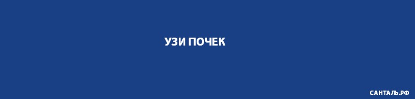 УЗИ почек в клиниках Санталь в Краснодаре УЗИ почек в клиниках Санталь в Краснодаре