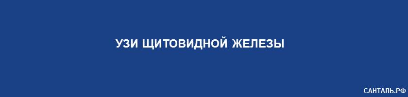 УЗИ щитовидной железы в клиниках Санталь в Краснодаре УЗИ щитовидной железы в клиниках Санталь в Краснодаре